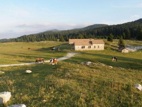 Hotel Cristallo Folgaria Εξωτερικό φωτογραφία